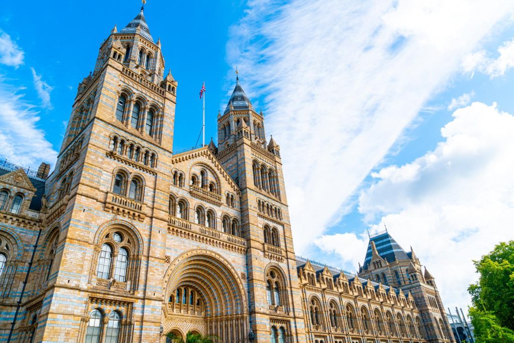 Museo storia naturale Londra